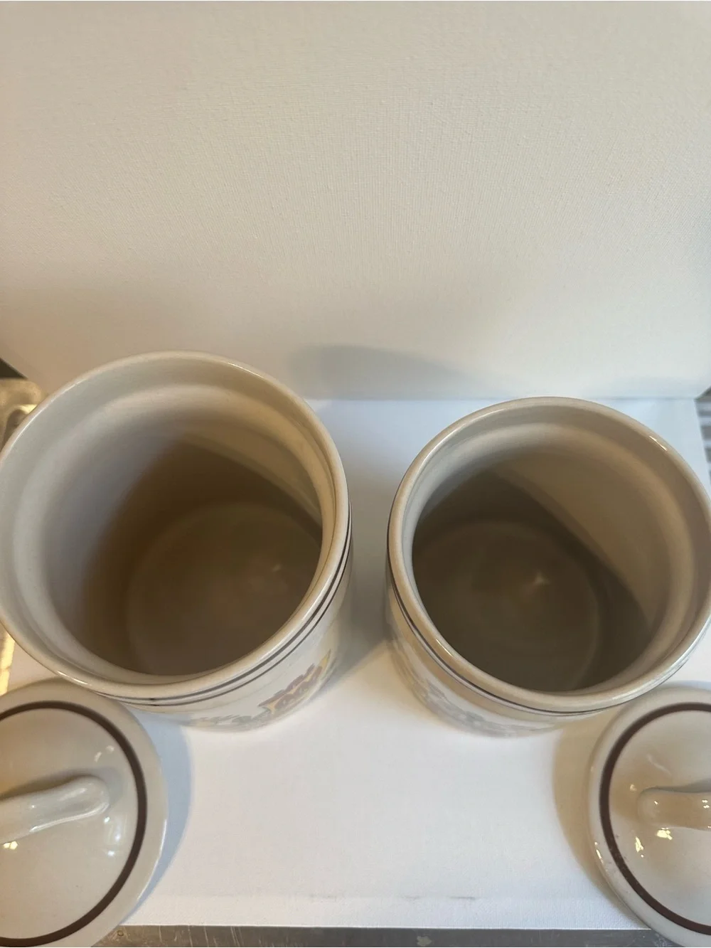 Set of 2 Vintage Retro Ceramic Bird Canister Set